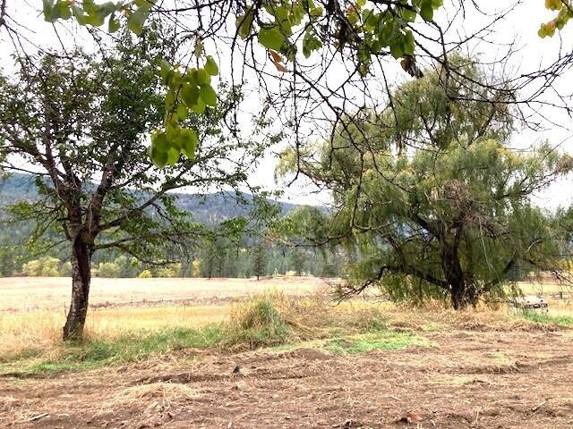 3277 A Orient Cutoff Road Kettle Falls, WA 99141 - Photo 43 of 49