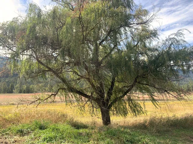 $110,000 | 3277 A Orient Cutoff Road, Kettle Falls, WA 99141