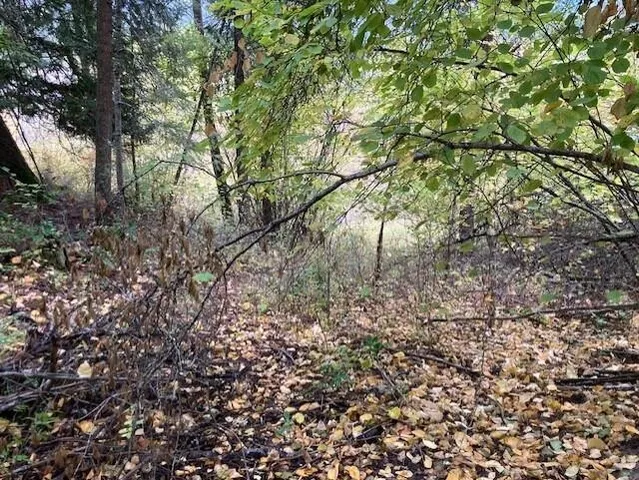 $110,000 | 3277 A Orient Cutoff Road, Kettle Falls, WA 99141