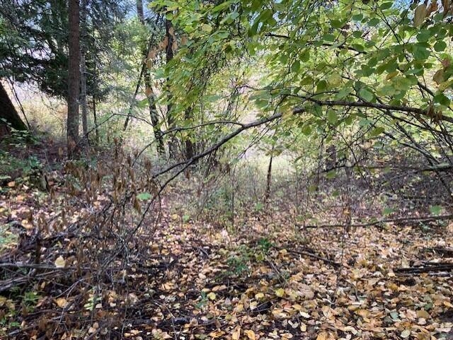 3277 A Orient Cutoff Road Kettle Falls, WA 99141 - Photo 46 of 49