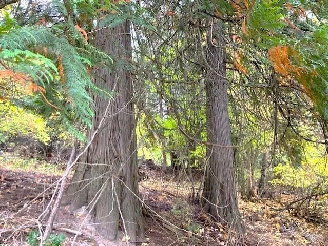 $110,000 | 3277 A Orient Cutoff Road, Kettle Falls, WA 99141