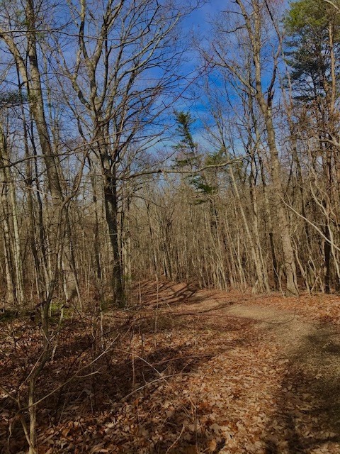 0 Mud Road Graysville, TN 37338 - Photo 18 of 19 Gallery Image 18
