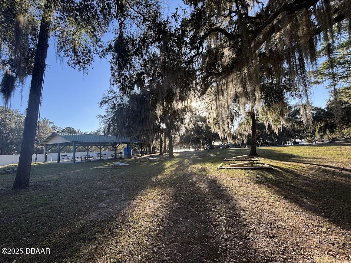 25161 Northeast 140th Loop Salt Springs, FL 32134 - Photo 15 of 45 a view of road with large trees