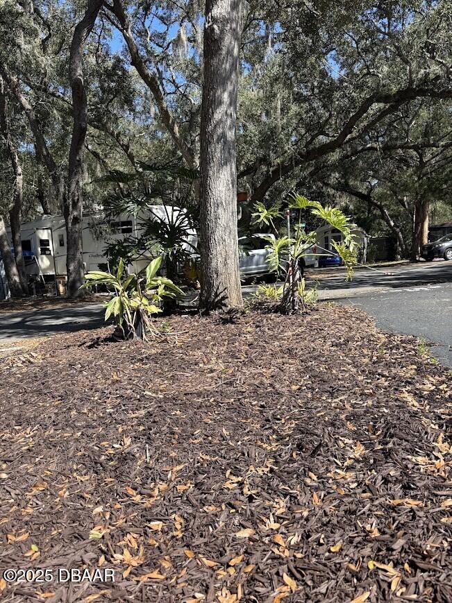 25161 Northeast 140th Loop Salt Springs, FL 32134 - Photo 2 of 45 a view of park with large trees