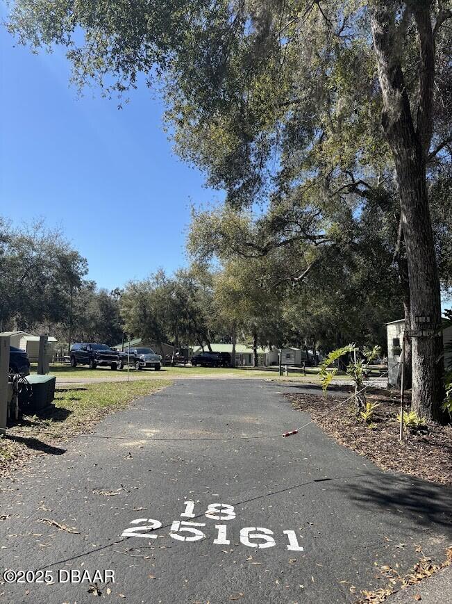 25161 Northeast 140th Loop Salt Springs, FL 32134 - Photo 3 of 45 a view of a yard with a tree