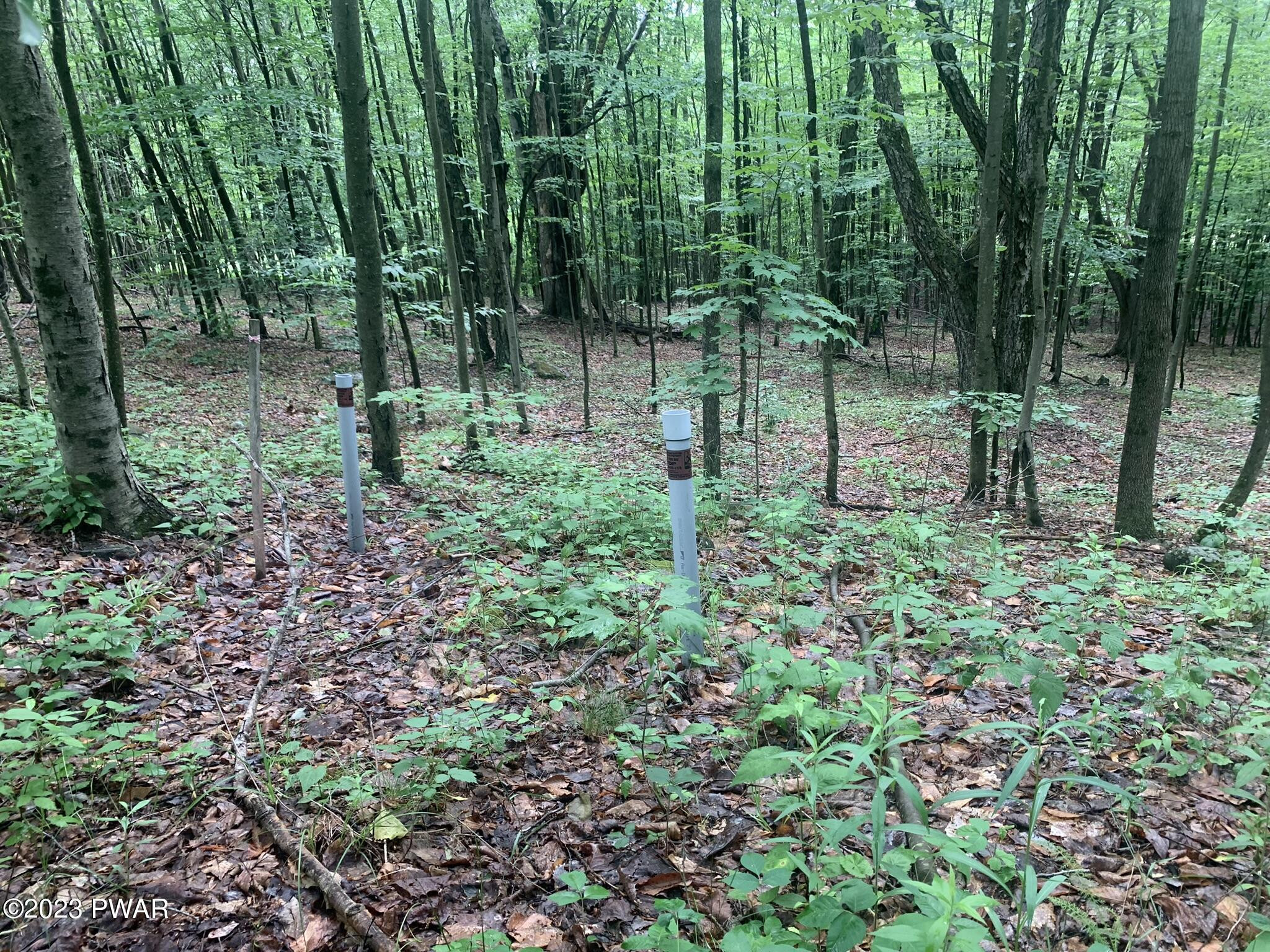 Lot 28 Murnin Rd Lake Lake Ariel, PA 18436 - Photo 4 of 11