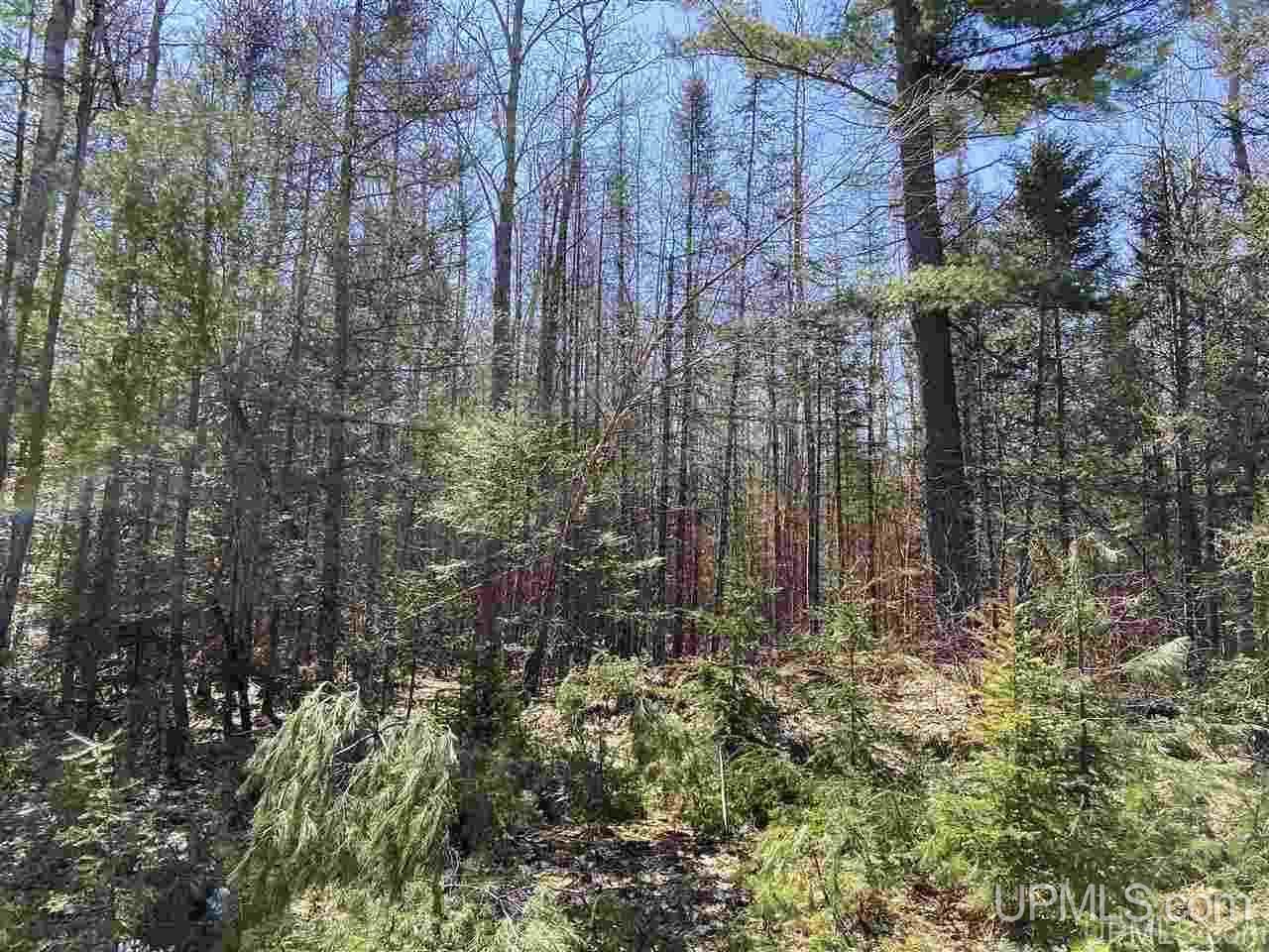 Tbd Tbd Off Powerline Gwinn, MI 49841 - Photo 4 of 28