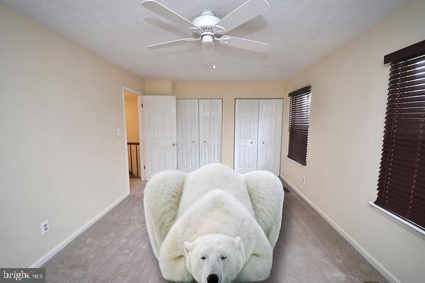 19 Powder View Court Baltimore, MD 21236 - Photo 35 of 35 Polar Bear