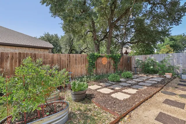 a view of a garden filled with potted plants and large trees
