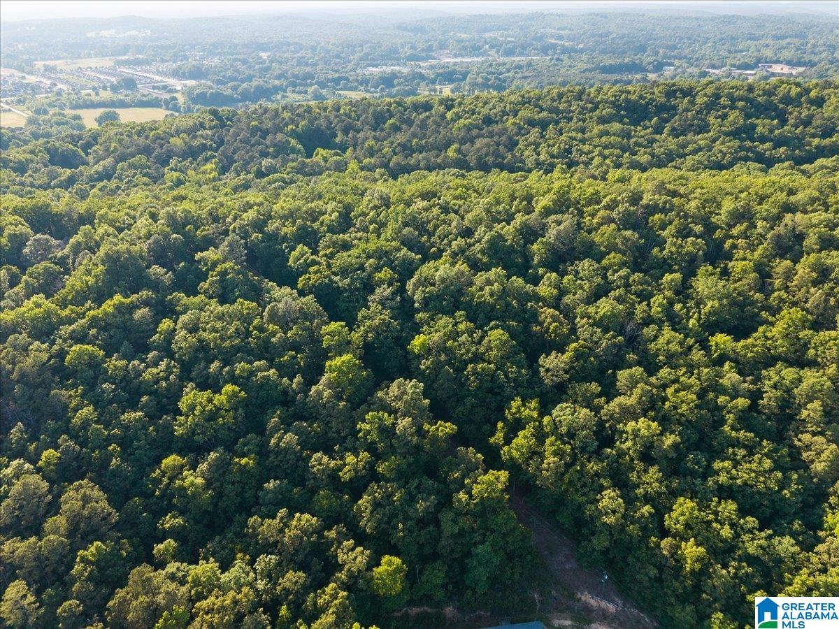 426 Oak Ridge Road Odenville, AL 35120 - Photo 27 of 27