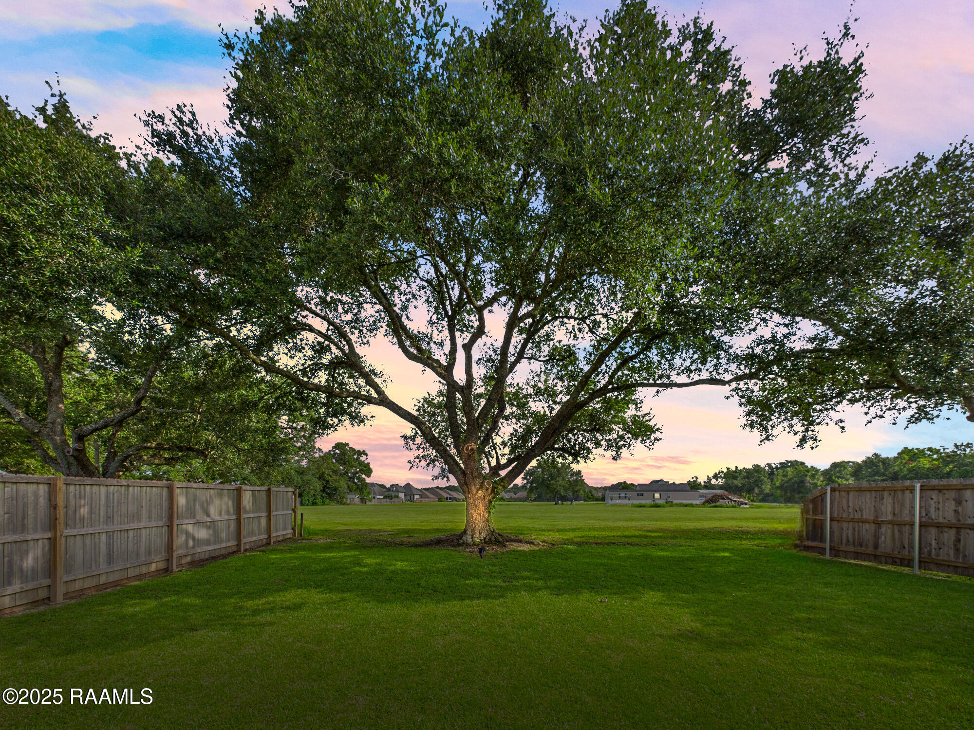207 Timber Mill Street Lafayette, LA 70508 - Photo 34 of 41 Timber Mills Twilight tree
