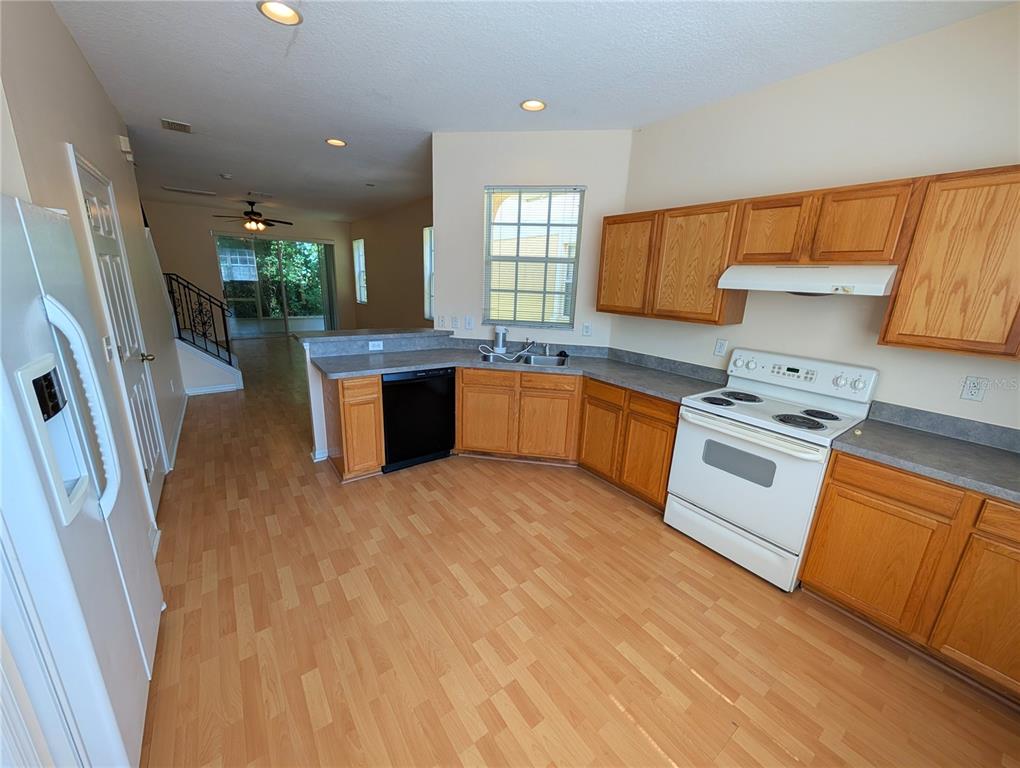 1993 Fiesta Ridge Court Tampa, FL 33604 - Photo 8 of 22
