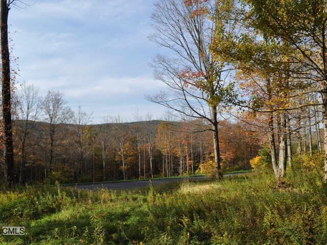 Tanner Hill Road Warren, CT 06777 - Photo 1 of 1 a view of outdoor space and yard