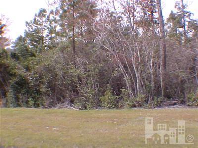3805 Silver Melon Road Northeast Leland, NC 28451 - Photo 1 of 2 Primary Photo