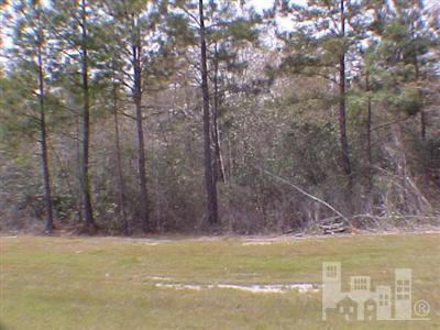 3805 Silver Melon Road Northeast Leland, NC 28451 - Photo 2 of 2 Additional Photo