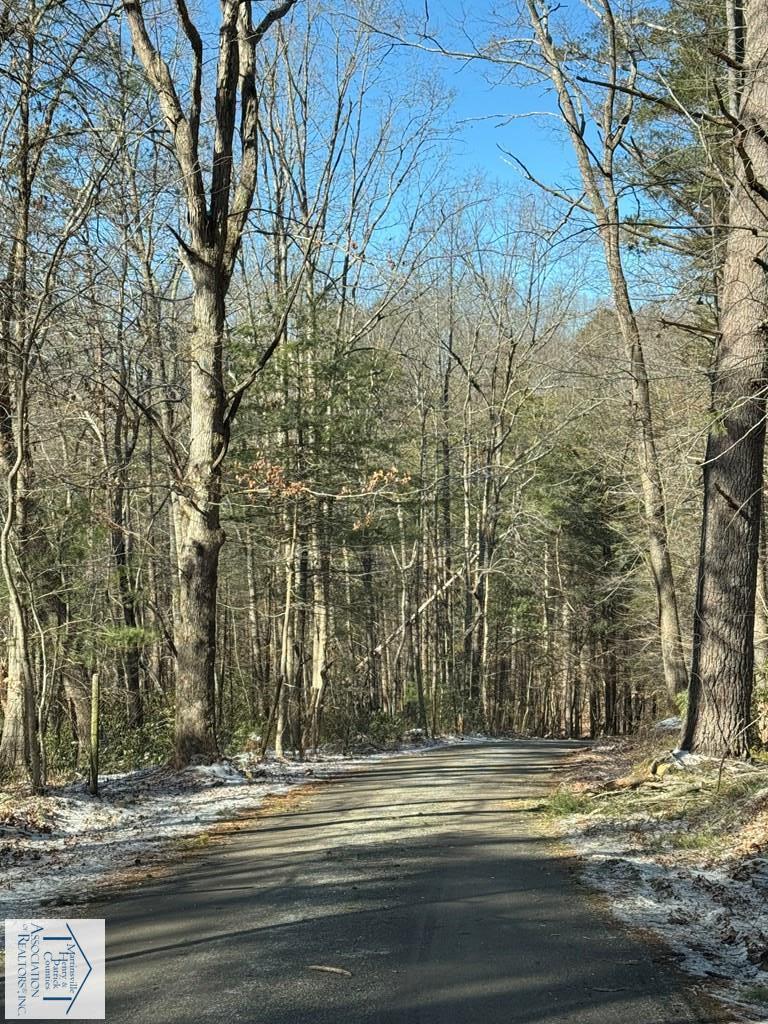 0 Blue Bend Road Rocky Mount, VA 24151 - Photo 3 of 3 a view of a road near a building