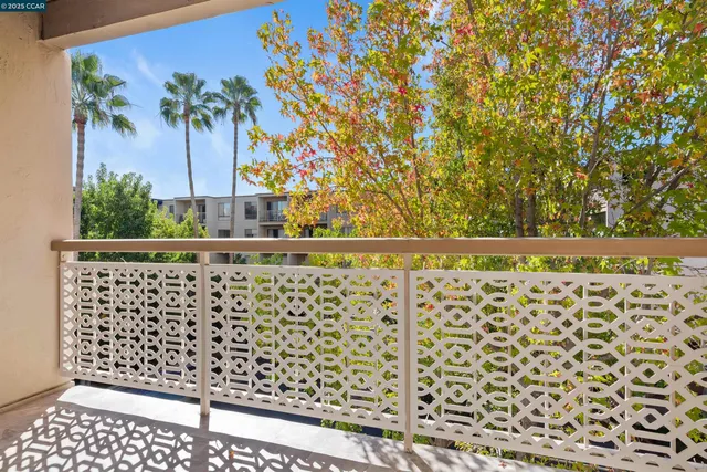 a view of a park with large trees
