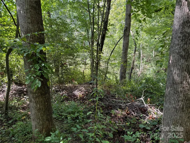 $89,900 | 256 Burge Mountain Road, Hendersonville, NC 28792