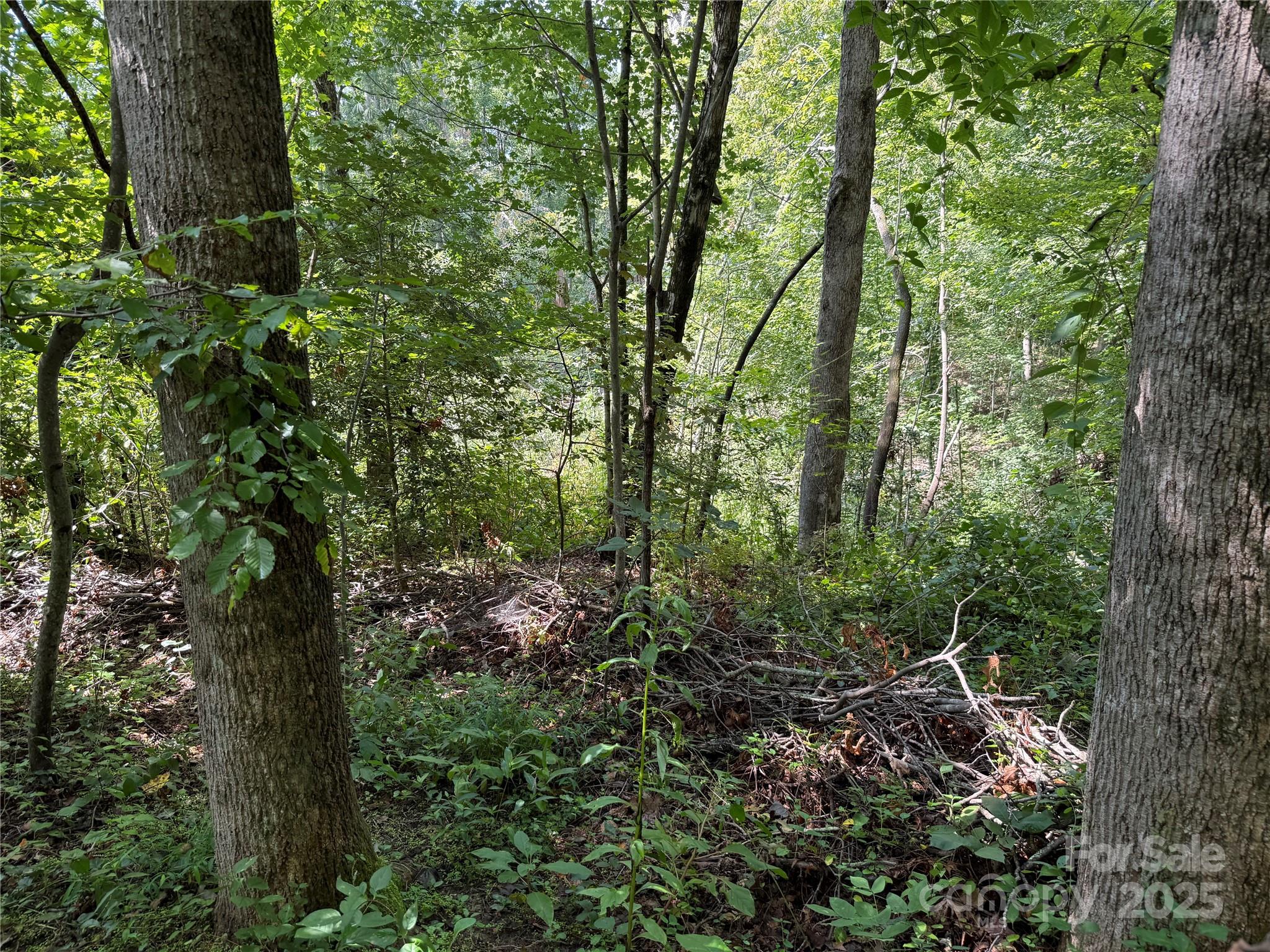 256 Burge Mountain Road Hendersonville, NC 28792 - Photo 11 of 23