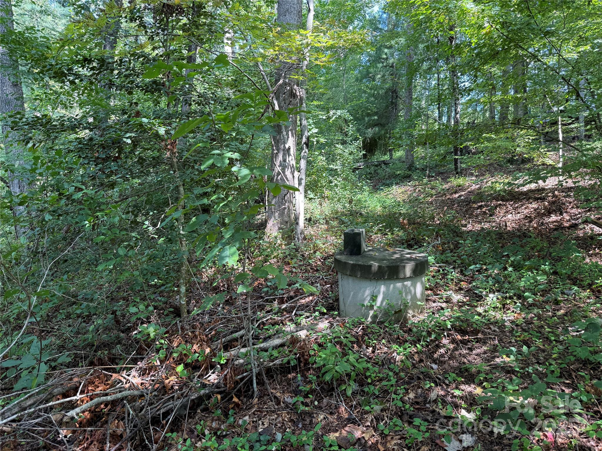 256 Burge Mountain Road Hendersonville, NC 28792 - Photo 12 of 23