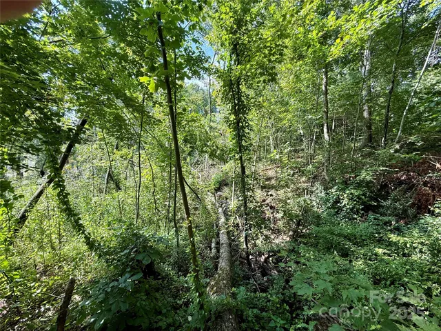 $89,900 | 256 Burge Mountain Road, Hendersonville, NC 28792