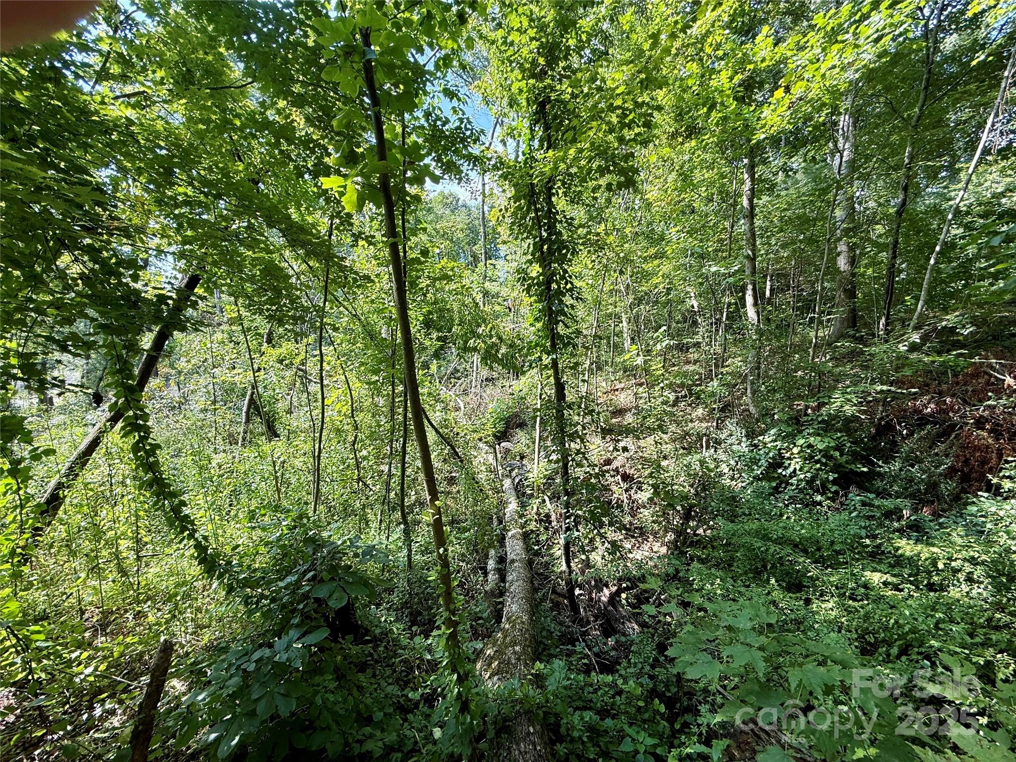 256 Burge Mountain Road Hendersonville, NC 28792 - Photo 15 of 23