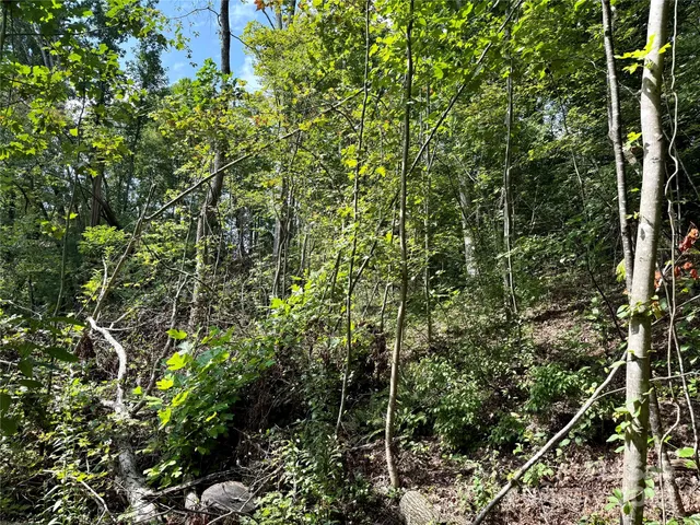 $89,900 | 256 Burge Mountain Road, Hendersonville, NC 28792