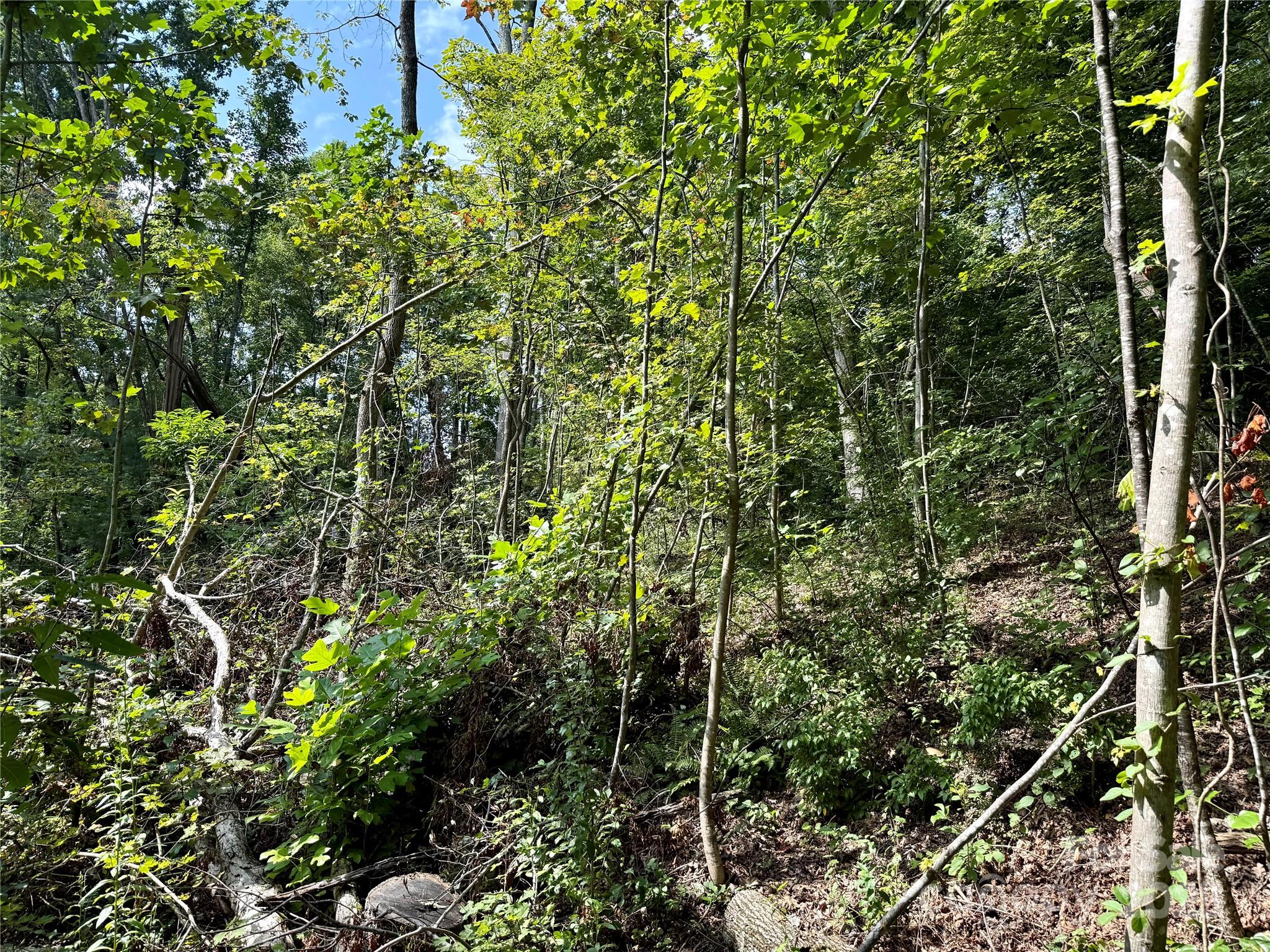 256 Burge Mountain Road Hendersonville, NC 28792 - Photo 16 of 23