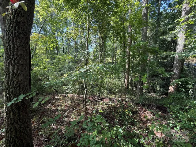 $89,900 | 256 Burge Mountain Road, Hendersonville, NC 28792