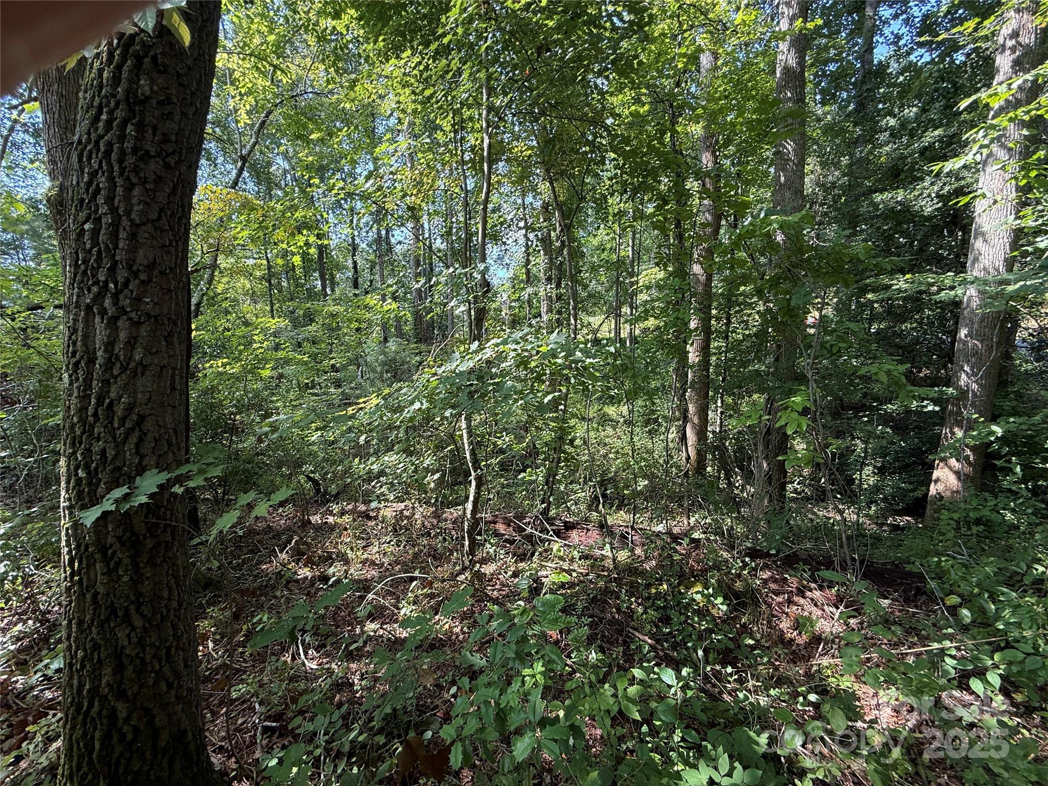 256 Burge Mountain Road Hendersonville, NC 28792 - Photo 6 of 23