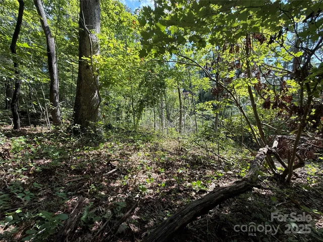 $89,900 | 256 Burge Mountain Road, Hendersonville, NC 28792