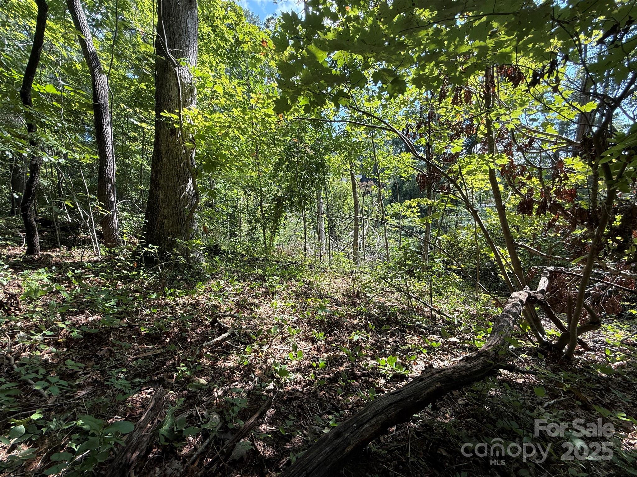 256 Burge Mountain Road Hendersonville, NC 28792 - Photo 7 of 23