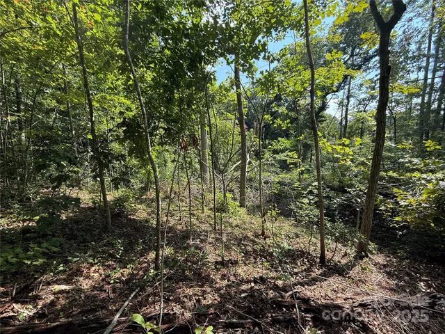 $89,900 | 256 Burge Mountain Road, Hendersonville, NC 28792