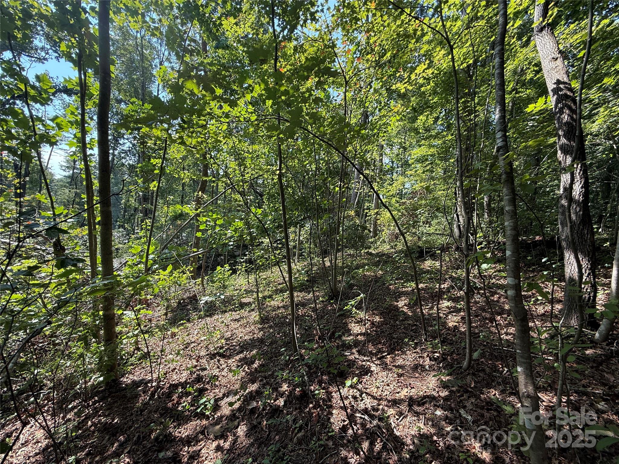 256 Burge Mountain Road Hendersonville, NC 28792 - Photo 9 of 23