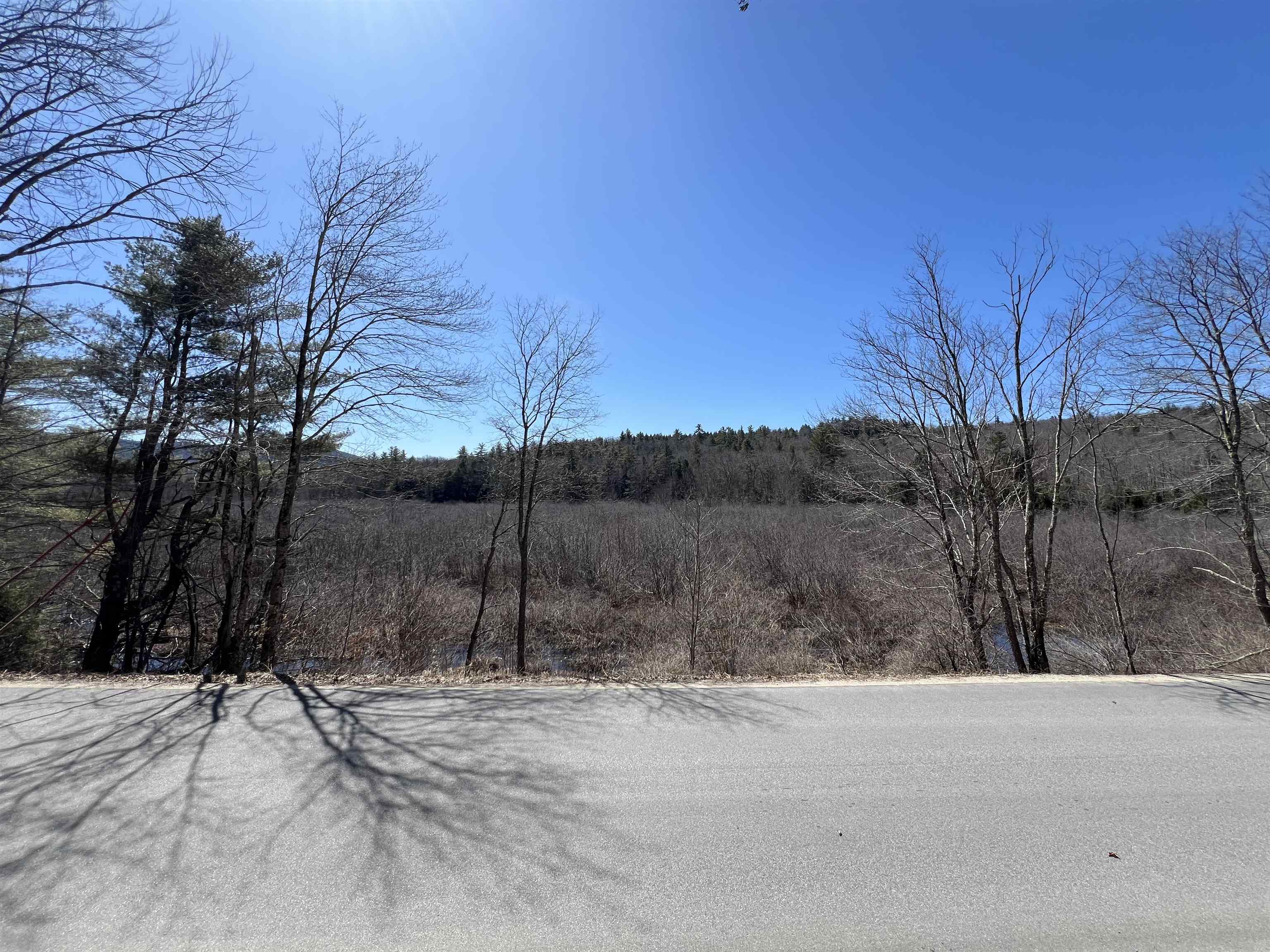 Roby Road Warner, NH 03278 - Photo 4 of 10