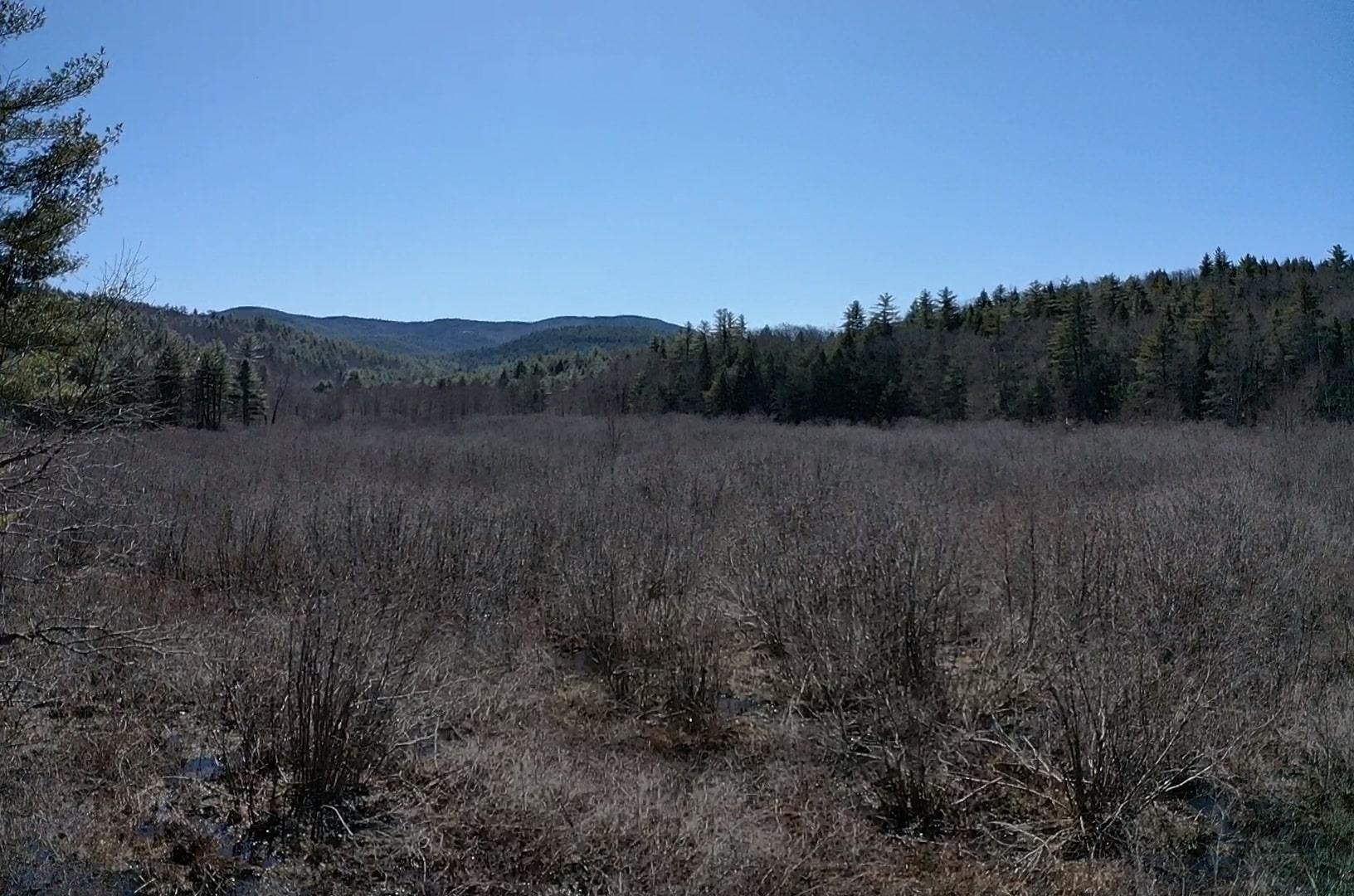 Roby Road Warner, NH 03278 - Photo 5 of 10