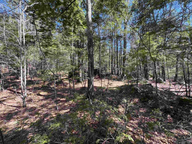 $79,000 | Roby Road, Warner, NH 03278