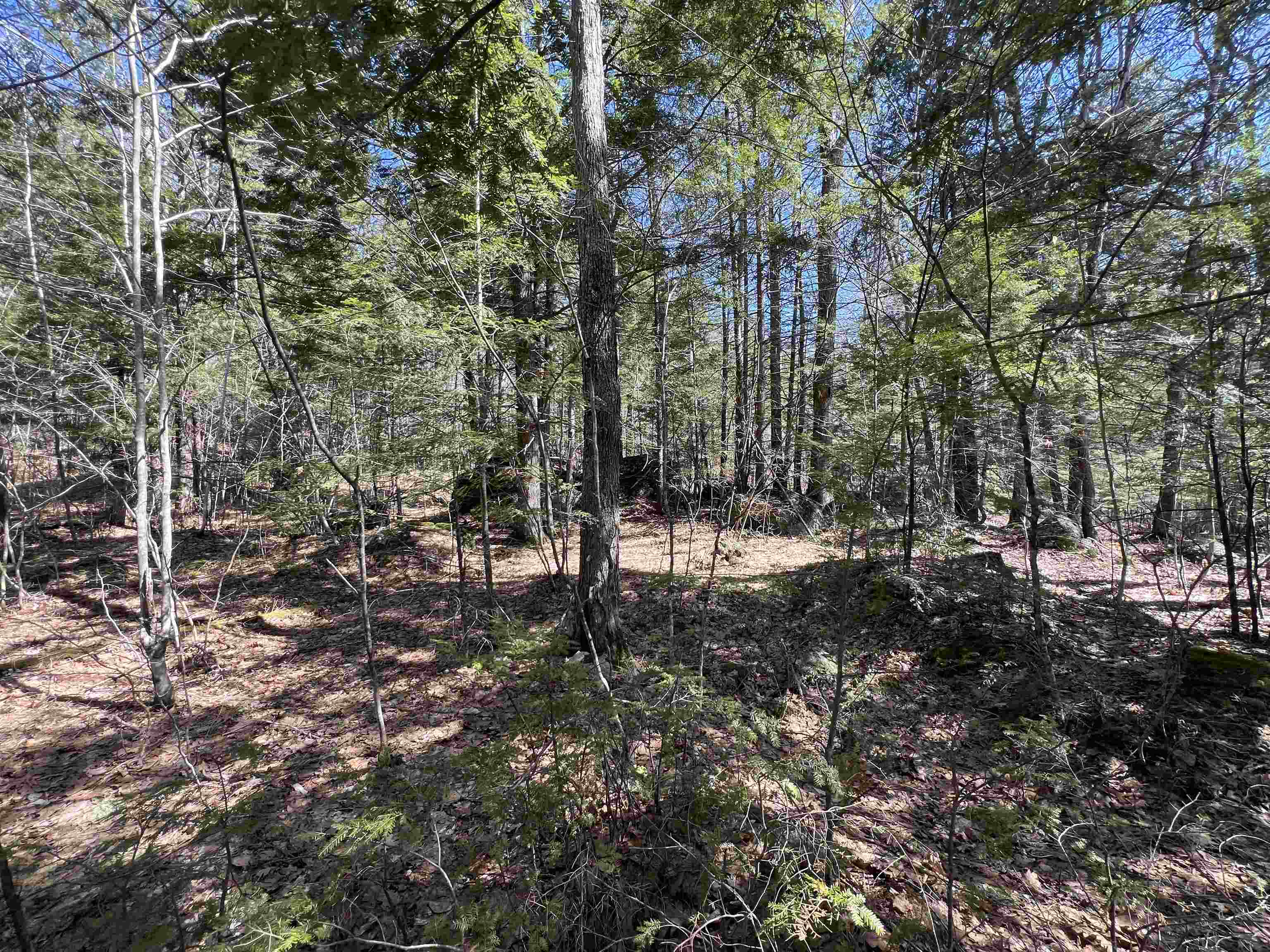 Roby Road Warner, NH 03278 - Photo 6 of 10