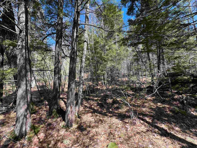 $79,000 | Roby Road, Warner, NH 03278