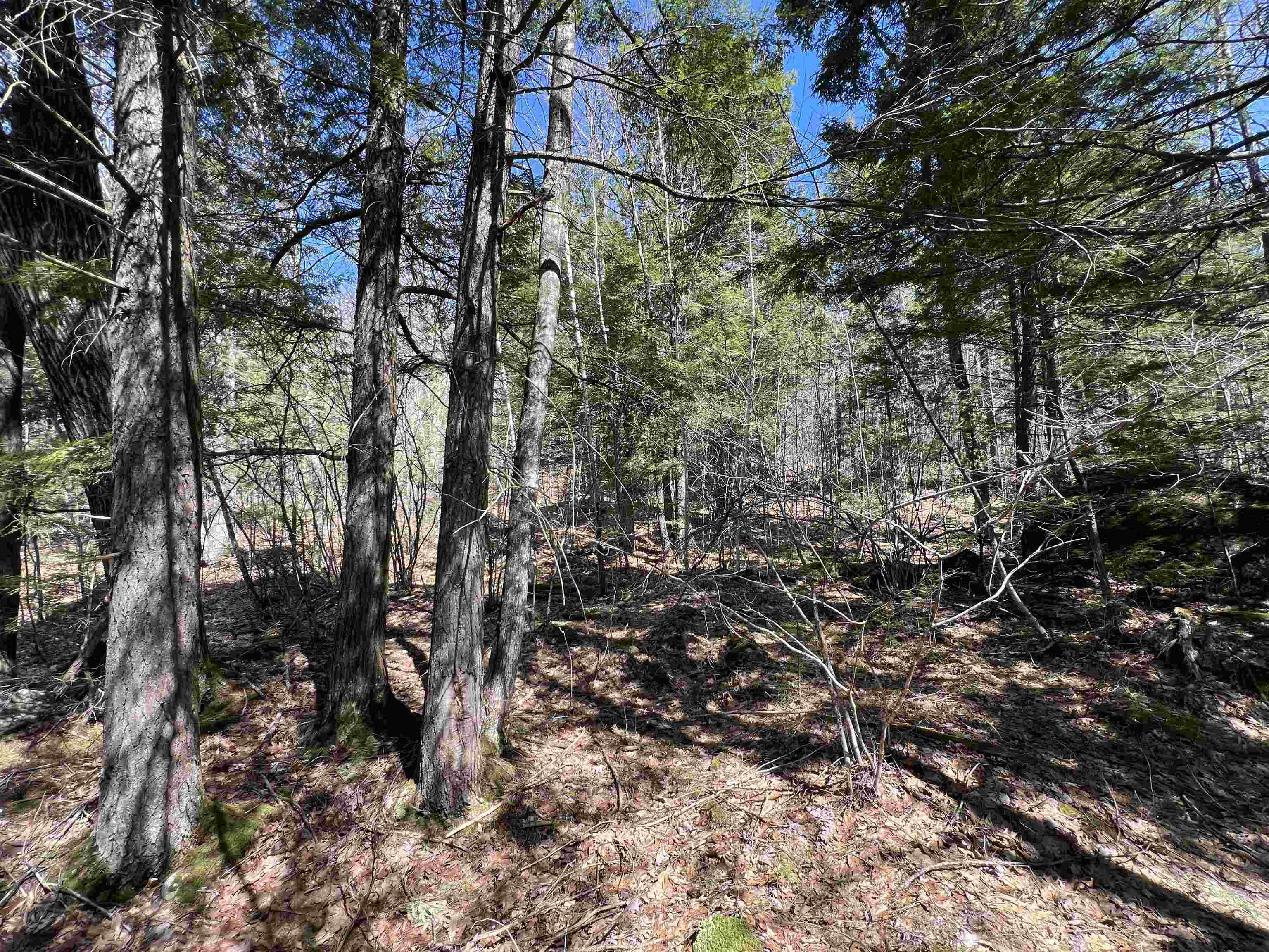 Roby Road Warner, NH 03278 - Photo 7 of 10