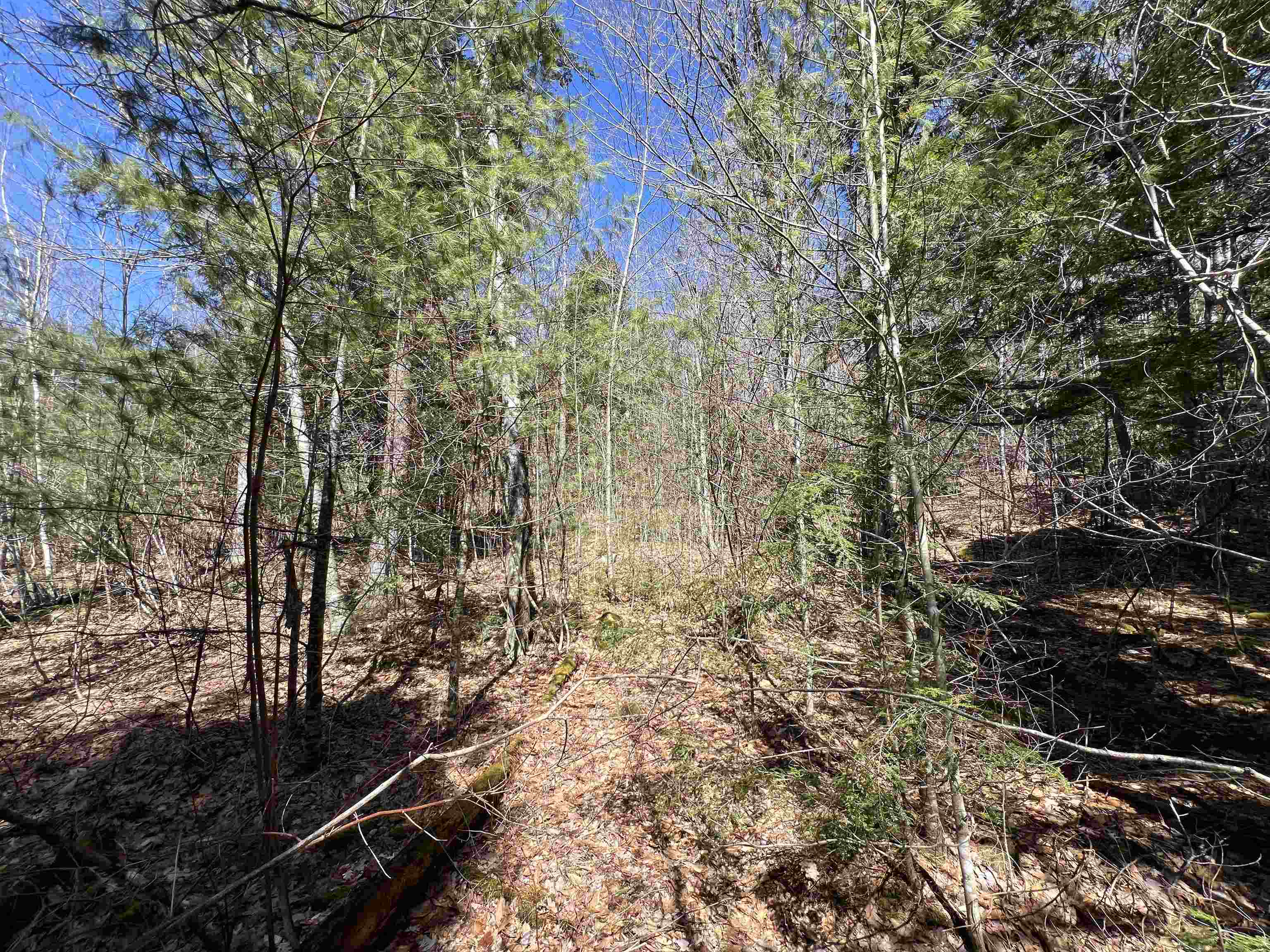 Roby Road Warner, NH 03278 - Photo 8 of 10