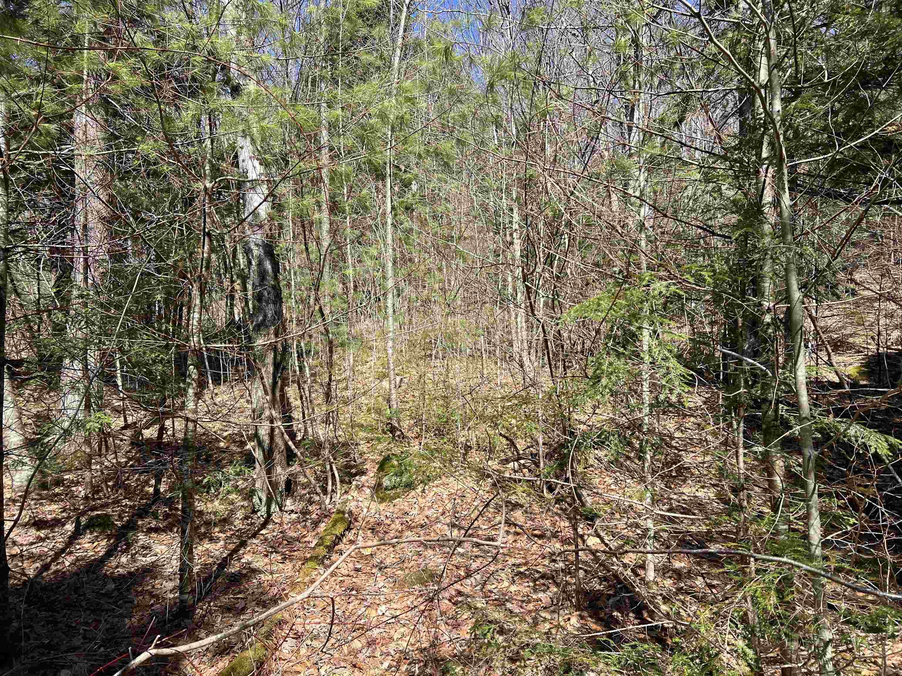 Roby Road Warner, NH 03278 - Photo 9 of 10