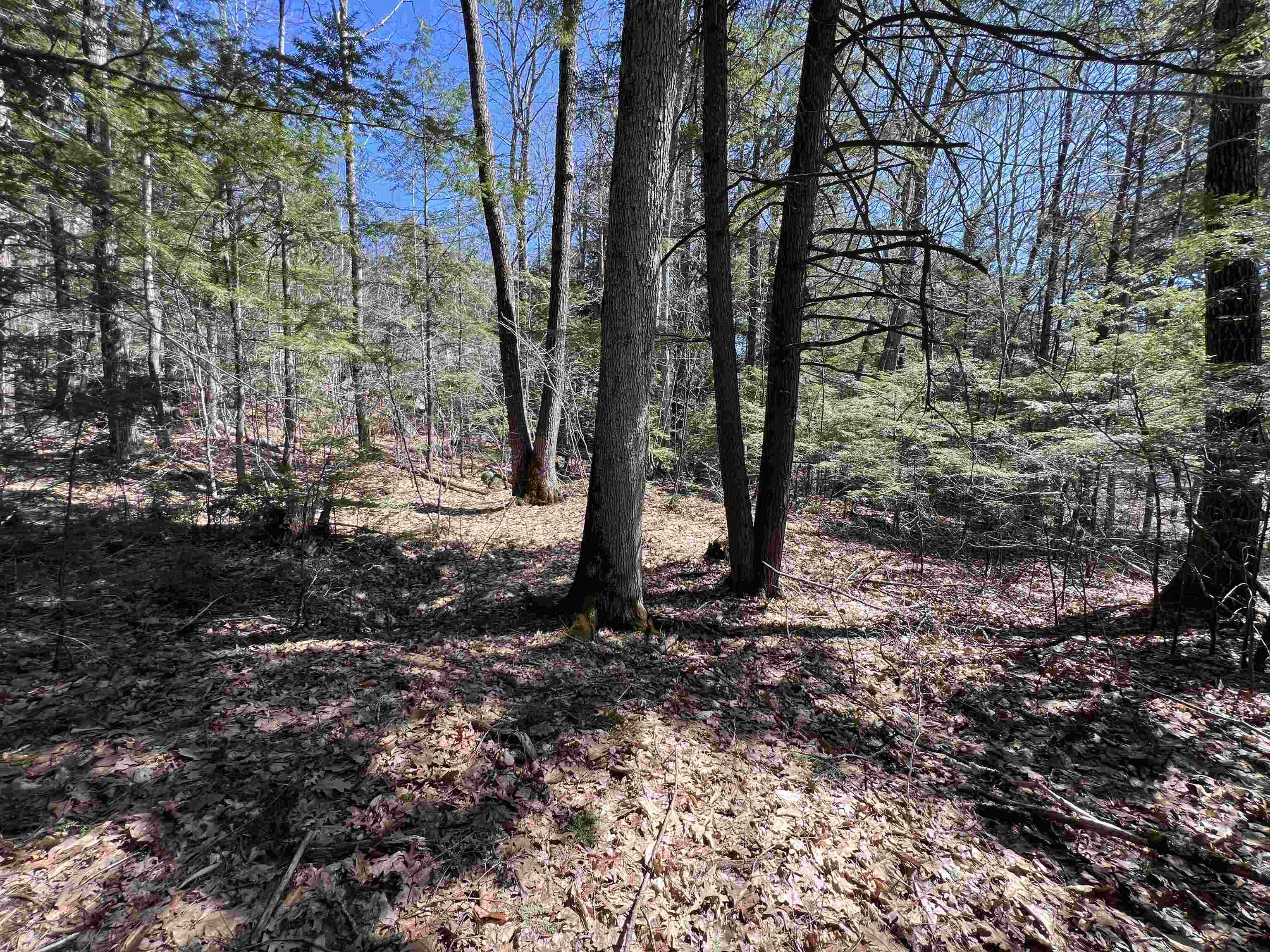 Roby Road Warner, NH 03278 - Photo 10 of 10