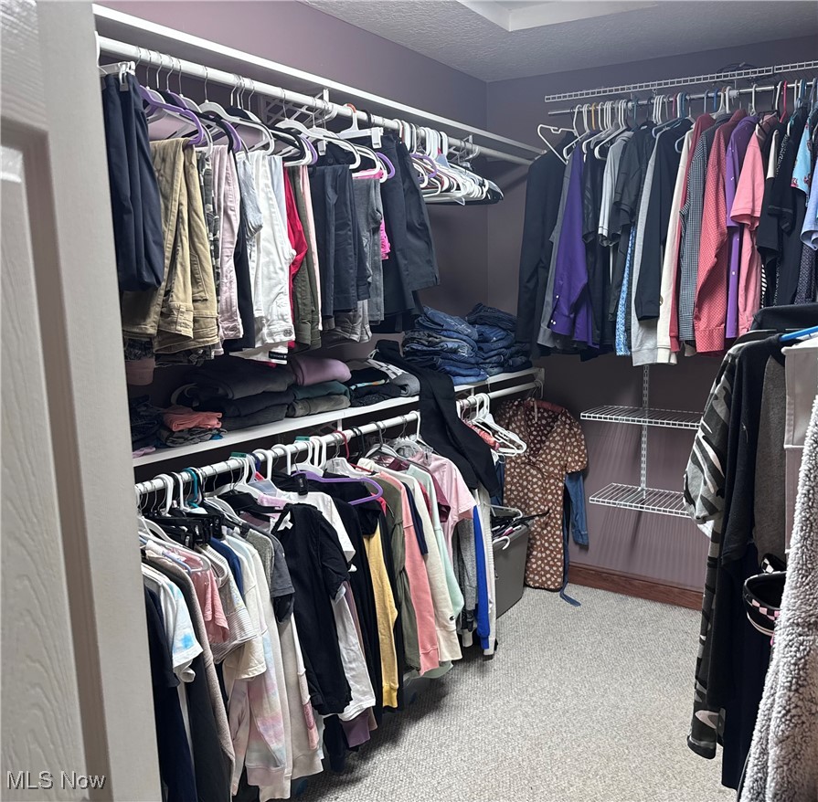 4375 Stimson Road Barberton, OH 44203 - Photo 12 of 30 Walk in closet featuring carpet floors