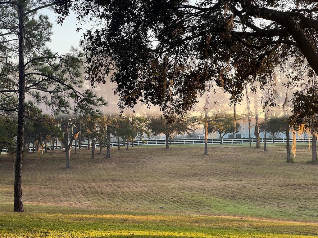 5526 Tiny Road Winter Garden, FL 34787 - Photo 26 of 39 a view of outdoor space with trees