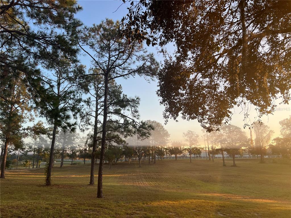 5526 Tiny Road Winter Garden, FL 34787 - Photo 27 of 39 a view of lake view