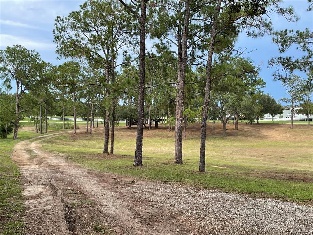 5526 Tiny Road Winter Garden, FL 34787 - Photo 29 of 39 a view of park with trees
