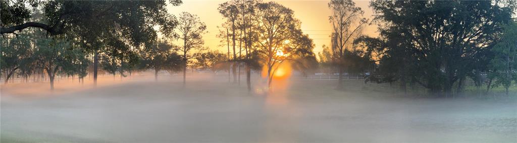 5526 Tiny Road Winter Garden, FL 34787 - Photo 33 of 39