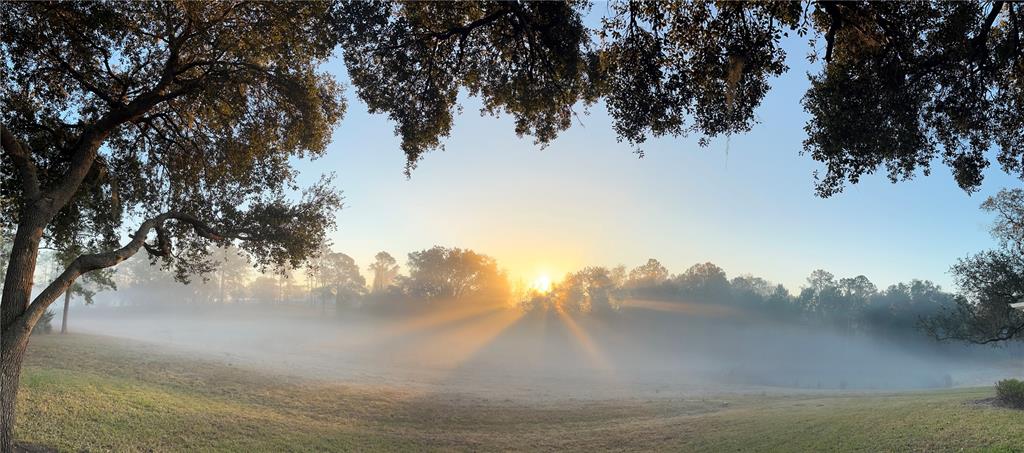 5526 Tiny Road Winter Garden, FL 34787 - Photo 34 of 39 a view of lake from yard