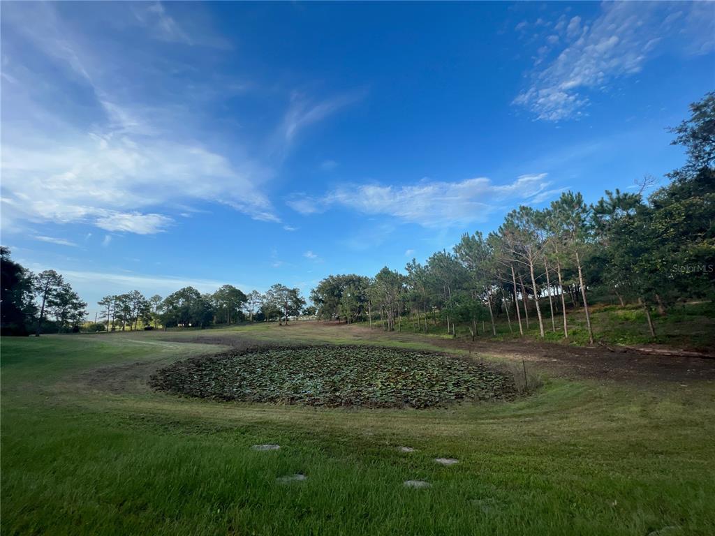 5526 Tiny Road Winter Garden, FL 34787 - Photo 37 of 39 a view of a park with large trees
